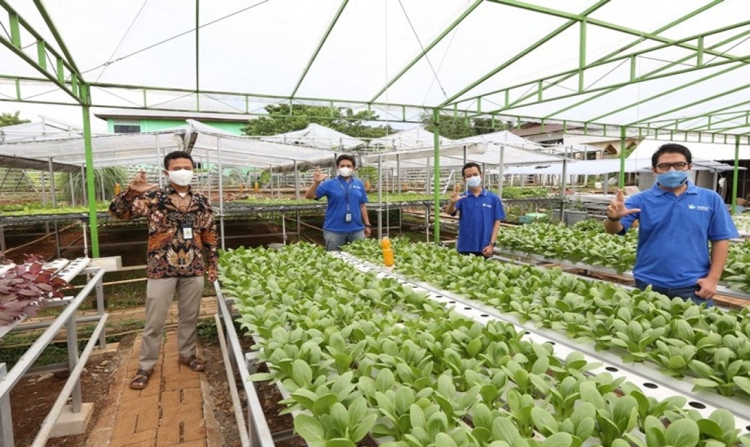 Foto : XL Smart Hydroponics Menjadi Salah Satu Solusi Atasi Urban Farming. Sumber Foto : manadopost.jawapos.com