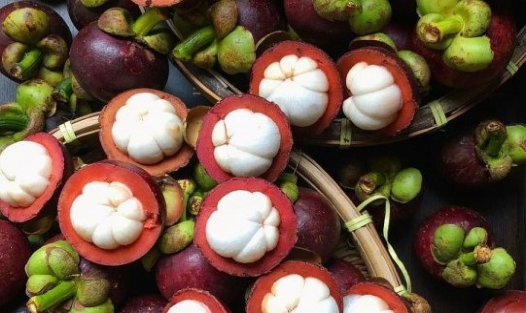 Foto : Peningkatan Ekspor Komoditas Pertanian Unggulan Asal Sumatera Barat. Sumber Foto : www.idntimes.com