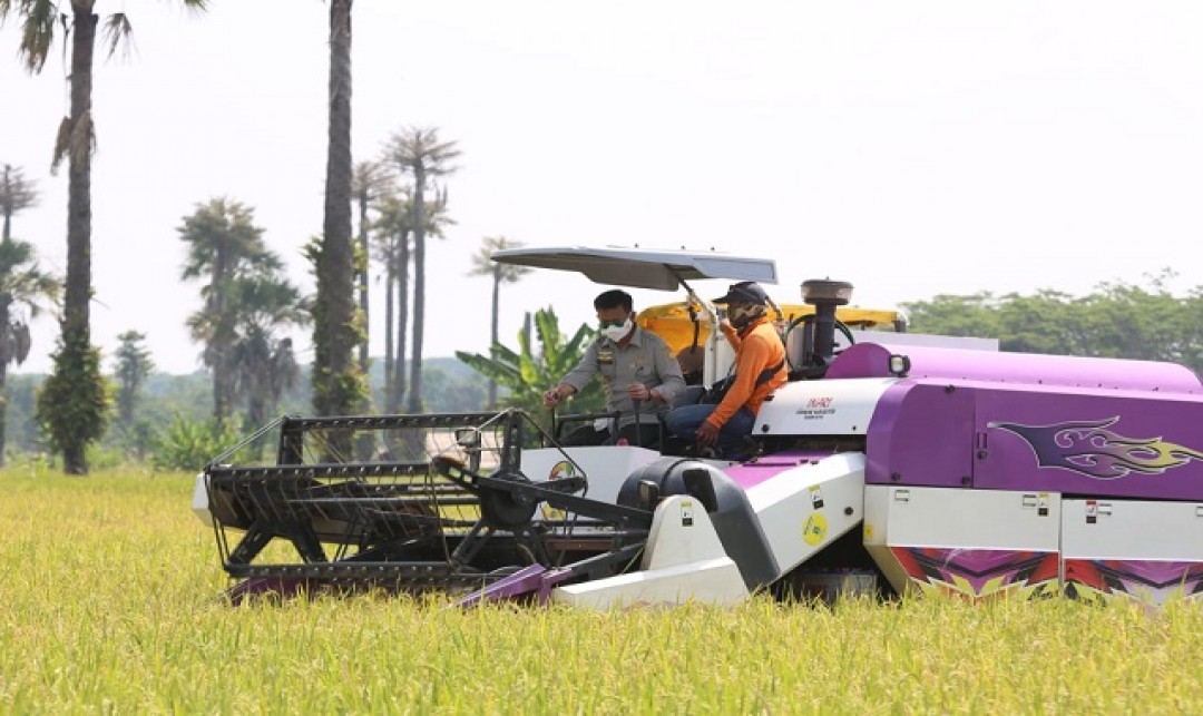 Foto : Produksi Beras Tahun 2020 Naik Signifikan dibanding Tahun Sebelumnya