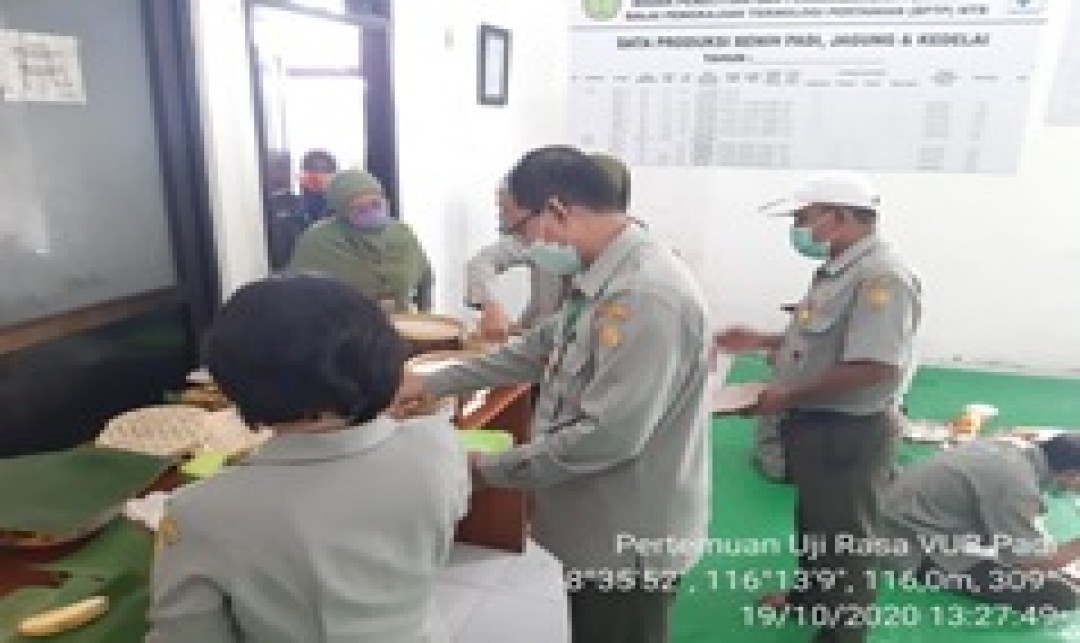 Foto : Tim UPBS Melakukan Uji Rasa Pada Beberapa VUB Padi Hasil Pengkajian BPTP NTB.