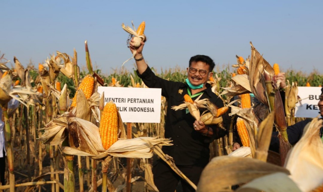 Foto : Menteri Pertanian Syahrul Yasin Limpo.