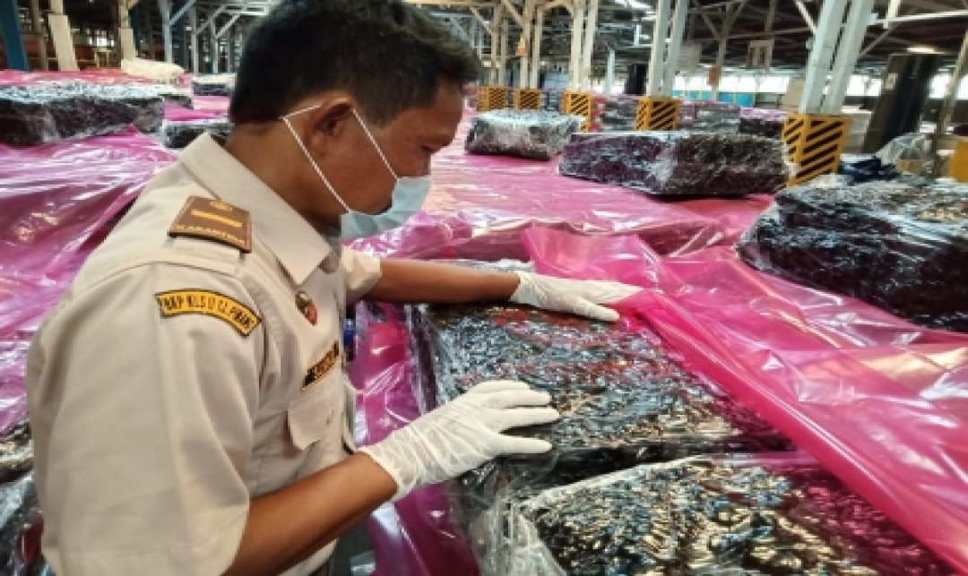 Foto : Karet Adal Bintan Tembus Pasar Mancanegara.