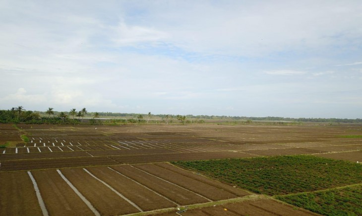Foto : Kementan Dorong Pendapatan Petani Meningkat.