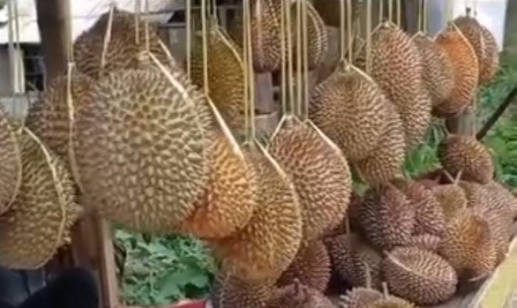 Penjual durian di sepanjang jalan Cibanon-Pasir Angin, jalur alternatif menuju kawasan Puncak Bogor (Pangannews.id)