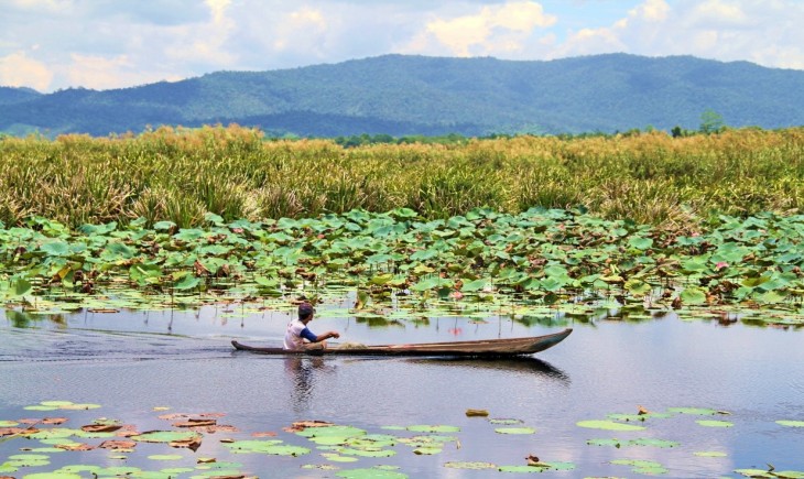 Kalimantan Timur siap ubah 14 ribu hektare lahan rawa jadi sentra pertanian. (Foto : Kanal Komunikasi KLHK)