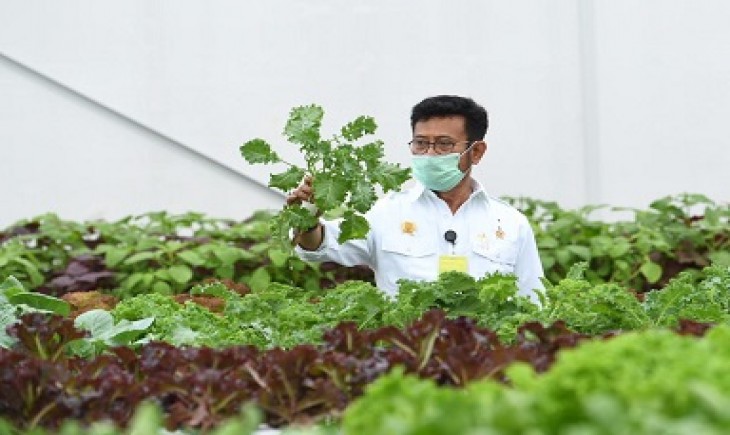 Foto : Sektor Pertanian Mampu Menyelamatkan Ekonomi Nasional di Tengah Pandemi Covid-19.