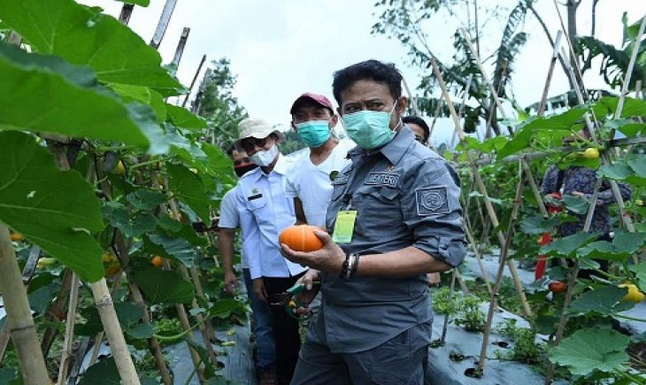 Foto :  Menteri Pertanian Syahrul Yasin Limpo.
