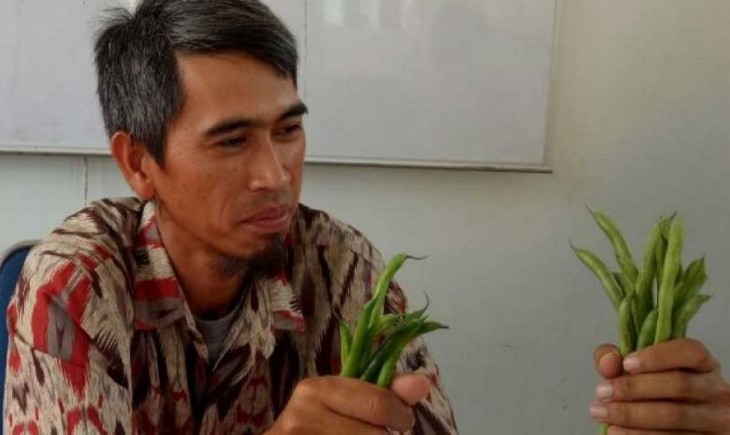 Foto : Merdeka Ekspor Yang Dicanangkan Pemerintah, Dimanfaatkan Para Petani Sukses di Desa Cikidang.