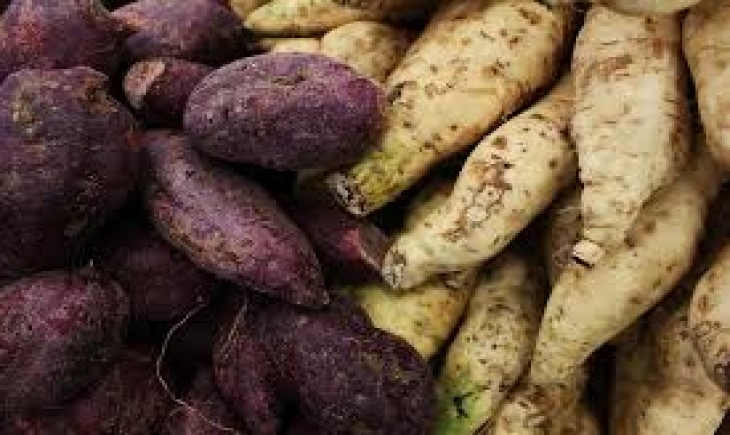 Mengenal sumber karbohidrat selain nasi untuk gaya hidup sehat. (Foto : Pixabay)