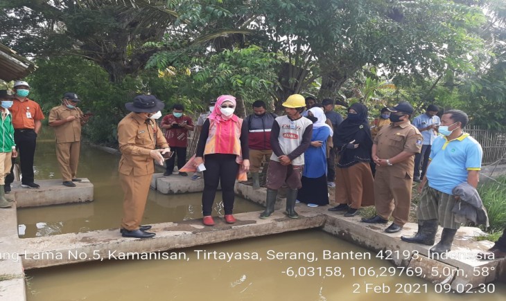 Foto : Kostratani di Banten Atasi Lahan Terdampak Banjir