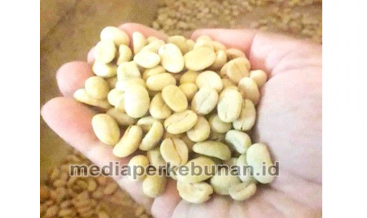 Foto : Ilustrasi Kopi.