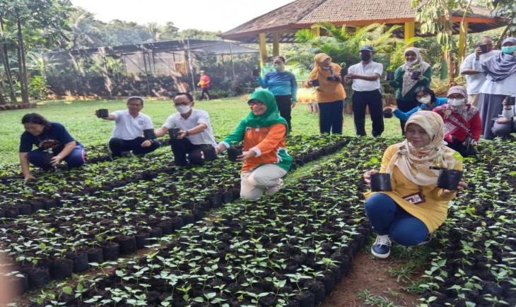 Foto : Kementan Bagikan Benih Cabai Dalam Polybag ke Masyarakat DKI Jakarta.