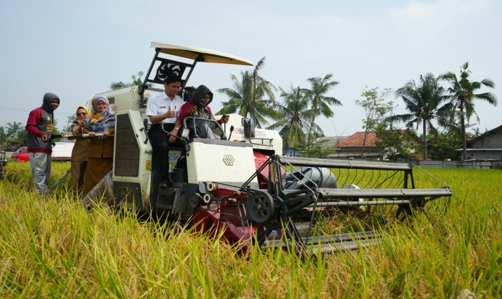 Foto : Panen Benih Padi Indukan Ultra Genjah Varietas IR 42 dan SR PO8 di Desa Karangjaya, Kecamatan Pebayuran, Kabupaten Bekasi.