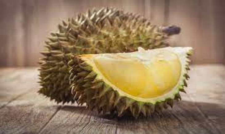 Gambar. Durian Ripto
