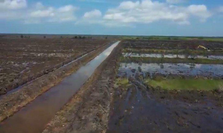 Kementan Perkuat Mekanisasi Pertanian, Sawah Baru Di Tanah Laut Siap Dongkrak Produksi Padi Kalsel. (Foto: dok. Kementan)