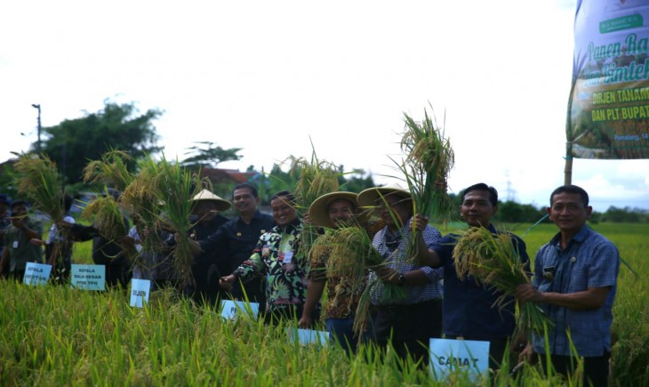 Foto : Kementerian Pertanian mengadakan Sosialisasi Bahan Alami Biosaka di Gapoktan Saradan Makmur, Desa Saradan, Kecamatan Pemalang, Kabupaten Pemalang.
