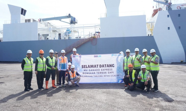 1.213 ekor sapi perah bunting tiba di Pelabuhan Tanjung Intan, Cilacap, Jawa Tengah, Kamis (15/5/2025). (Foto: dok. Kementan)