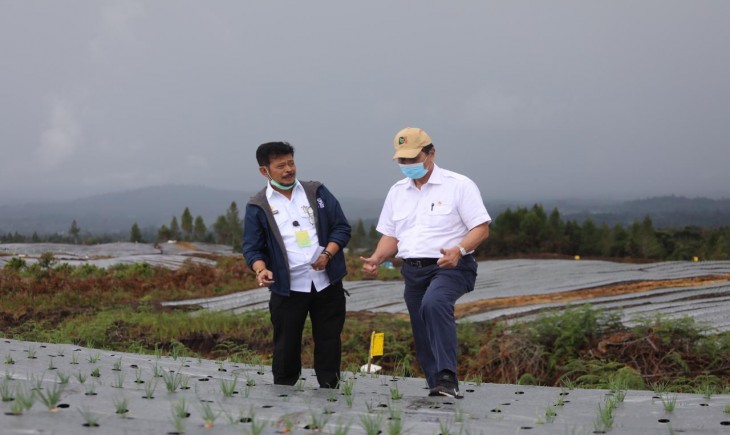 Foto : Mentan SYL Bersama dengan Menko Luhut Binsar Pandjaitan Saat Meninjau Langsung Perkembangan Penanaman dan Kawasan Lahan Lumbung Pangan Baru (food estate) di Kabupaten Humbang Hasundutan.