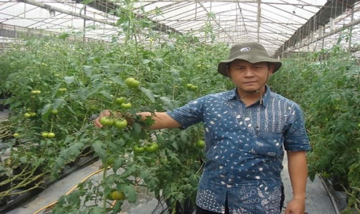 Foto : Ahmad Suryanto | Widiaiswara di Balai Pelatihan Pertanian Lampung | Pemerhati Kebijakan Pertanian, Pangan Institute.