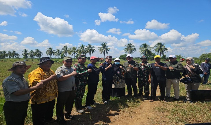 Kepala BPPSDMP, Dedi Nursyamsi saat melakukan kunker ke Balai Penyuluhan Pertanian (BPP) Mandastana, Barito Kuala (Batola), Kalsel, Kamis (27/06/2024). (Foto: Dok. Kementan)