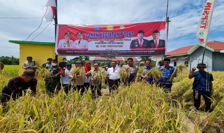 Foto : Kegiatan Pengembangan Petani Produsen Benih Tanaman Pangan (P3BTP) Berbasis Korporasi Petani.