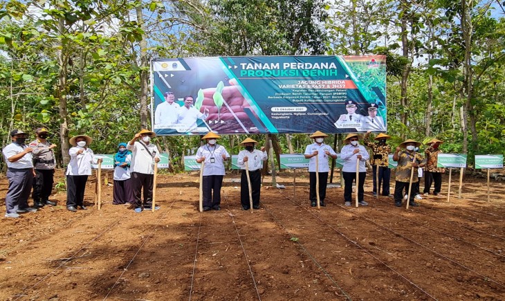Foto : Kementerian Pertanian Bersama Bupati Gunung Kidul Melakukan Tanam Perdana Perbenihan Jagung Hibrida di Desa Kedungkeris.