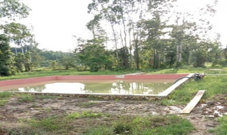 Foto : Dengan Kehadiran Embung, Petani di Sorong Semakin Meraup Untung.