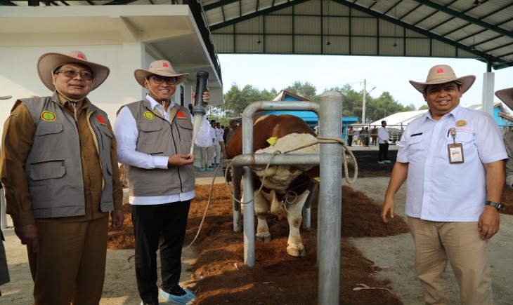 Wamentan saat mengunjungi Balai Besar Inseminasi Buatan Singosari Malang, Senin, 5 Agustus 2024. (Foto: Dok. Kementan)