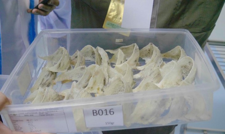 Foto : Kementan Pacu Ekspor Sarang Burung Walet ke Amerika.
