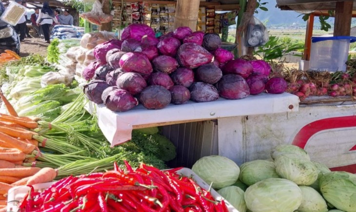 Foto : Gelar Sosialisasi Nutrition Awareness UPLAND Project Ajari KWT Kemas Produk Untuk Tingkatkan Kesejahteraan