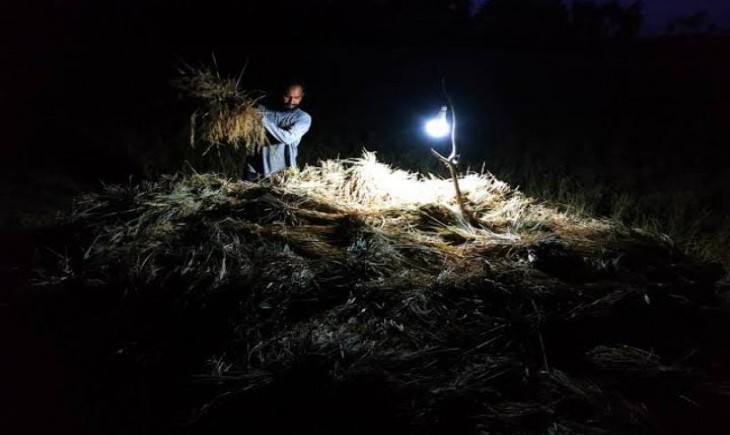 Para petani Vietnam sedang menanam padi di malam hari (cnnindonesia.com)