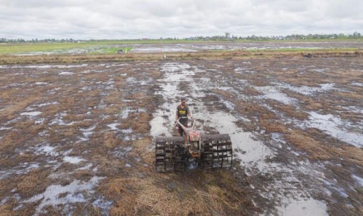 Petani saat membajak sawah di Sumsel. (Sumber Foto : Kompas)