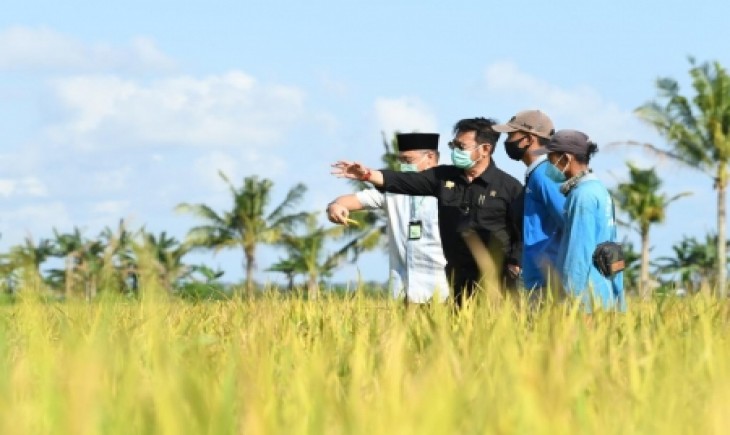 Foto : Sektor Pertanian Menjadi Salah Satu sektor yang Mampu Menopang Ekonomi Nasional.
