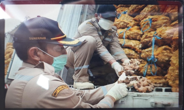 Foto : Badan Karantina Pertanian memusnahkan jahe impor asal Myanmar dan Vietnam.