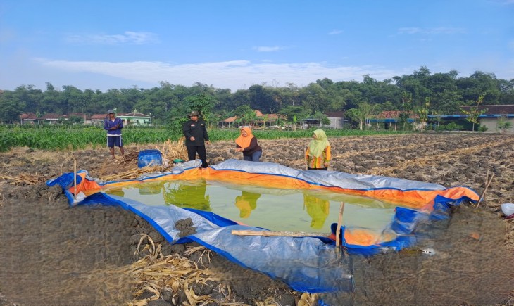 Strategi Budidaya Hemat Air dan Konservasi Air seperti Pembuatan Kolam Penampung Air. (Dok. Kementan)