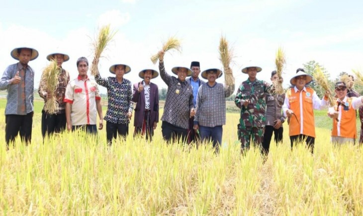 Bupati Wajo mendukung pertanian terintegrasi petani Muhammadiyah (Muhammadiyah.or.id)