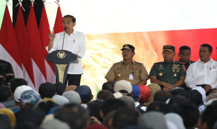 Presiden Joko Widodo (Jokowi) memerintahkan untuk menambah anggaran pupuk subsidi sebesar Rp 14 triliun. (Foto: Dok. Kementan)