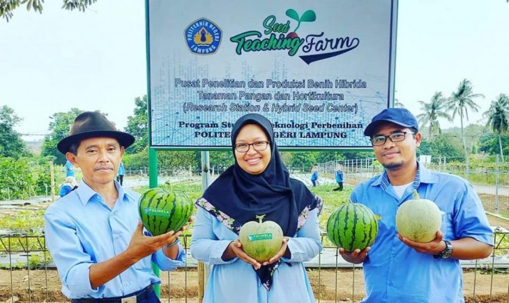 Foto : Kementan Studi Banding ke Polinela, Lampung.