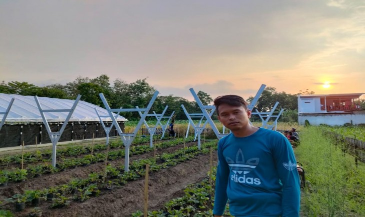 Foto : Pertanian Organik Dataran Tinggi.