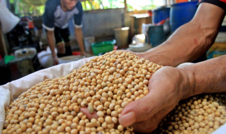 Foto : Kawal Penangkar Benih, Kementan Lakukan Program Pengembangan Petani Produsen Benih Kedelai (P3BK). Sumber Foto : Warta Ekonomi