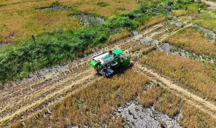 Program Cetak Sawah Rakyat (CSR) di Papua. (Foto : dok. Kementan)