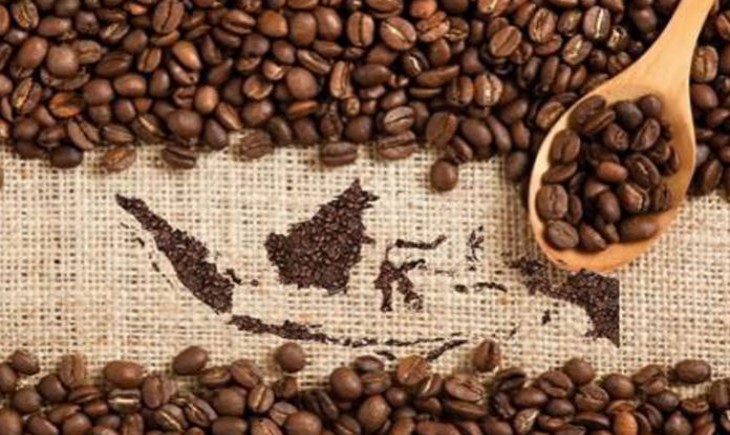 Foto : Ilustrasi Biji Kopi. Sumber Foto : Monitoring.co.id