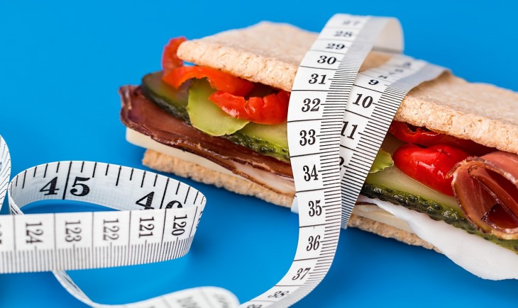 10 tips diet untuk pemula, tanpa harus tersiksa dan tetap bisa menikmati hidup. (Foto : Pixabay)