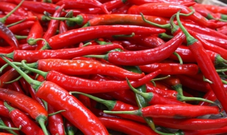 Foto : Cabai Merupakan Komoditas Yang Mudah Rusak , Produksi Cabai Ataupun Bawang Merah Sangat Bertumpu Pada Musim.