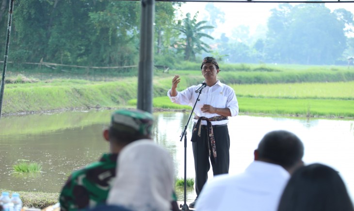 Mentan saat meninjau jalannya pertanaman di Kelurahan Bancaran, Kabupaten Bangkalan, Jawa Timur, Selasa, 14 Mei 2024. (Foto: Dok. Kementan)