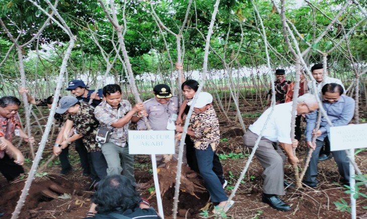 Foto : Kabupaten Banjarnegara menggelar Gerakan Merdeka Panen Ubi Kayu di Desa Pucungbedug, Kecamatan Purwanegara.