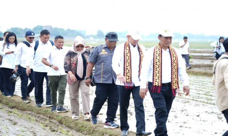 Mentan Amran melakukan kunjungan kerja ke lahan pertanian yang ada di Kelurahan Adipuro, Kecamatan Trimujo, Kabupaten Lampung Tengah, Provinsi Lampung, besok, Rabu 20/12/23. (Dok. Kementan)