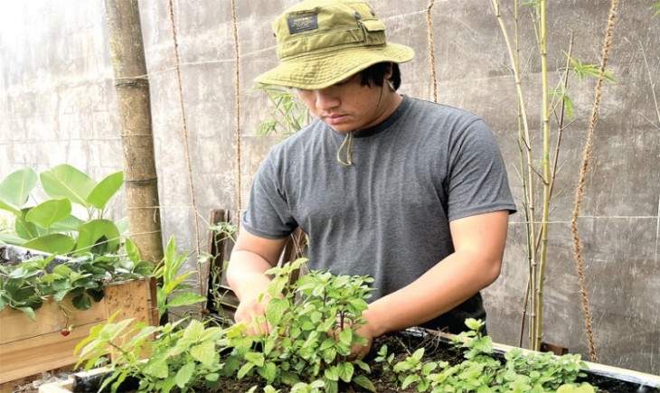 Cara lain yang digunakan adalah menyelingi tanaman sayur dengan jenis tanaman rosemary atau mint yang ampuh mengusir hama. (Habib Thabrani untuk Jawa Pos)
