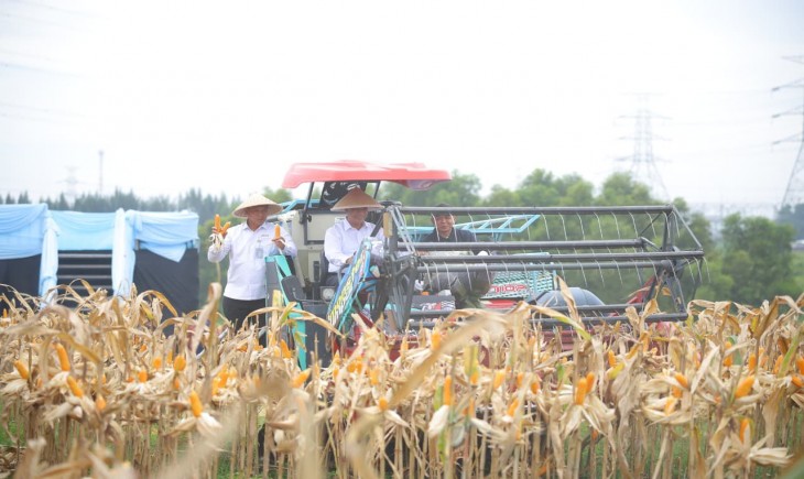 Mentan Amran: Tanam Jagung, Upaya Cegah Kejahatan Sejak di Hulu. (Foto: dok. Kementan)