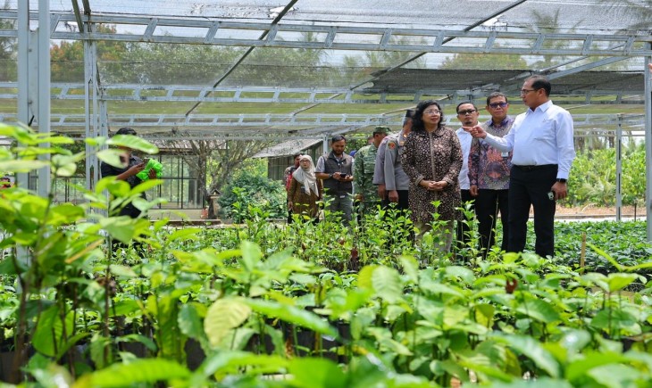 Wamentan Alim saat melakukan kunjungan kerja ke Balai Perakitan dan Pengujian Tanaman Industri dan Penyegar (BRMP TRI) di Sukabumi, Jumat (23/10). (Foto: Kementan)